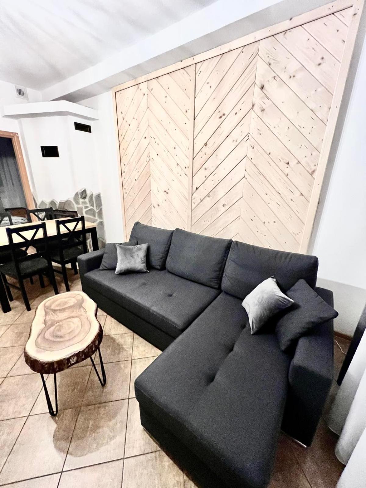 Apartamenty Nad Dunajcem Kolo Zakopanego 比利但耶克 外观 照片
